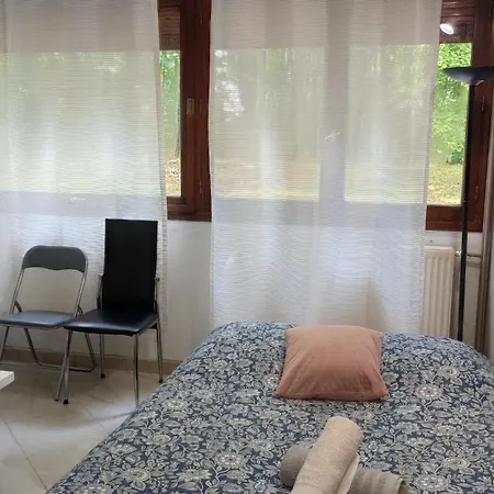 Magnifique Du Chateau Vlp Appartement *