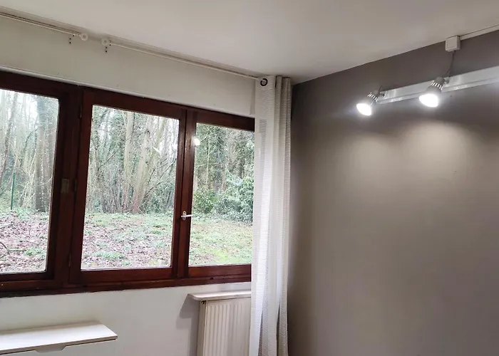 Magnifique Du Chateau Vlp Appartement Vaux-le-Pénil