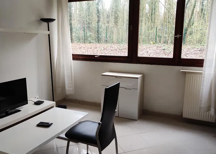 Magnifique Du Chateau Vlp Apartment Vaux-le-Penil
