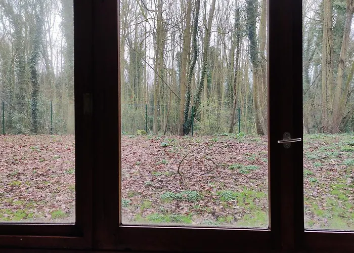Magnifique Du Chateau Vlp Appartement Vaux-le-Pénil