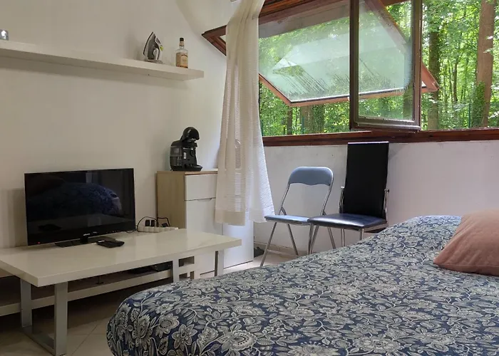 Magnifique Du Chateau Vlp Appartement Vaux-le-Pénil